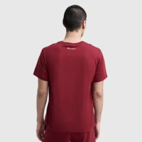 Camiseña clásica con diseño gráfico y Script Logo