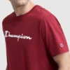 Camiseña clásica con diseño gráfico y Script Logo