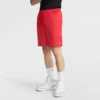 Pantalones cortos clásicos de malla de 9", C Logo