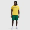 Pantalones cortos clásicos de malla de 9", C Logo