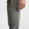 Pantalones cortos deportivos de 10" que absorben la humedad