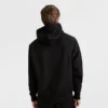 Sudadera con capucha Reverse Weave Small C